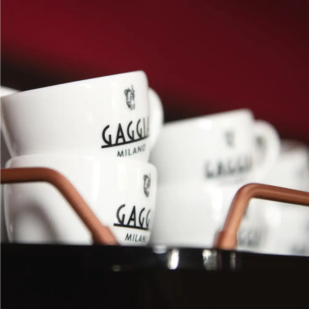 Gaggia espresso machine setup by Complete Coffee Solutions